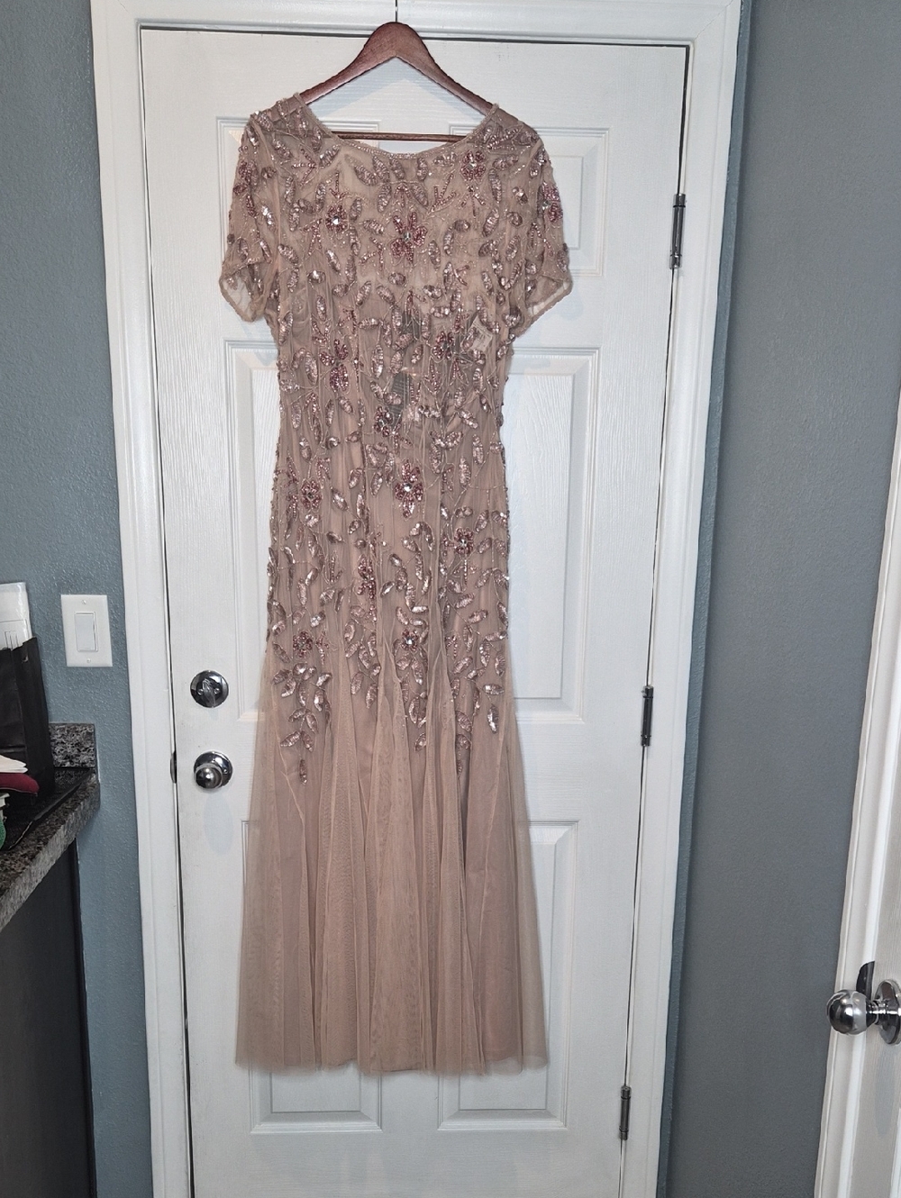 Adrianna Papell Blush Beaded Godet Gown.